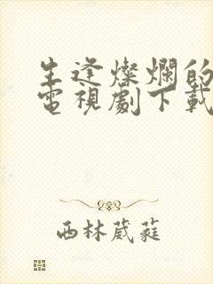 生逢灿烂的日子电视剧下载