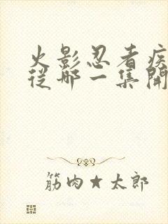 火影忍者疾风传从哪一集开始