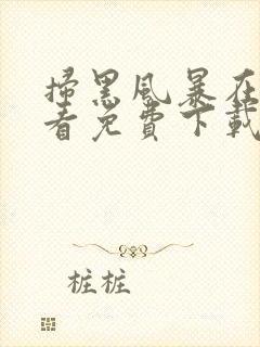 扫黑风暴在线观看免费下载