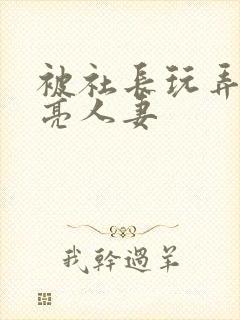 被社长玩弄的漂亮人妻封面