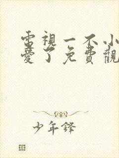 电视一不小心恋爱了免费观看