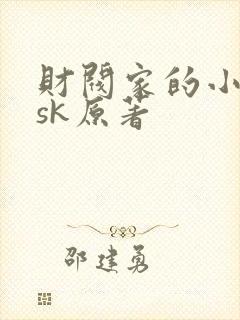 财阀家的小儿子sk原著