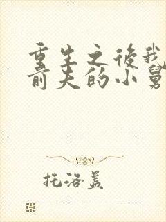 重生之后我成了前夫的小舅娘小说