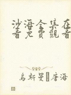 沙海全集在线观看免费观看完整版封面