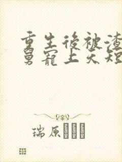 重生后被渣男舅舅宠上天短剧免费看封面
