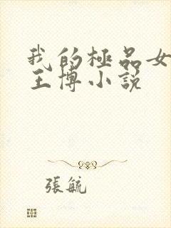 我的极品女老师王博小说