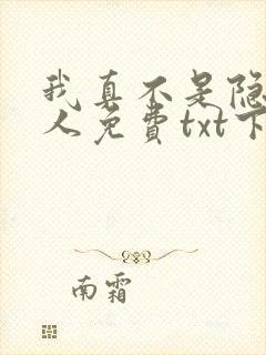 我真不是隐世高人免费txt下载