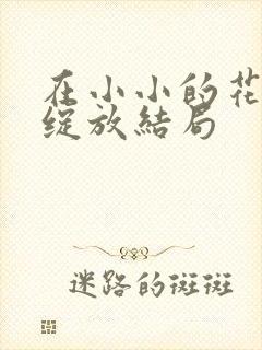 在小小的花蕾处绽放结局