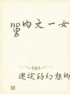 np肉文一女多男