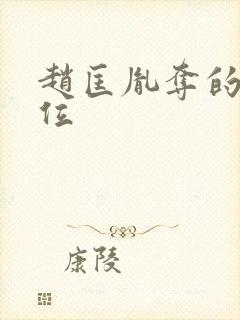 赵匡胤夺的谁的位封面