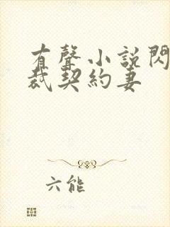 有声小说闪婚总裁契约妻封面