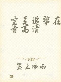 完美追击在线观看高清