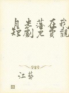 月光落在我身上短剧免费观看