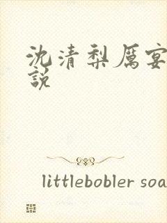 沈清梨厉宴洲小说封面