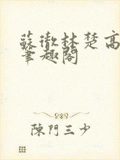 苏彻林楚高天赐笔趣阁