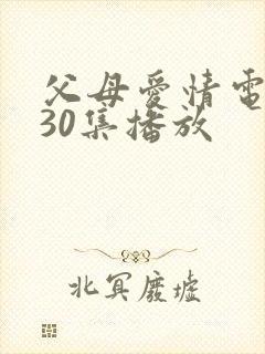 父母爱情电视剧30集播放