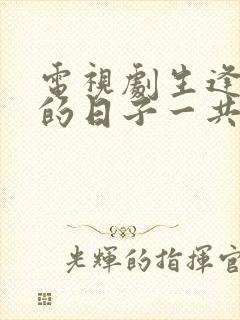 电视剧生逢灿烂的日子一共多少集