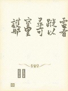 护宝寻踪电视剧哪里可以看