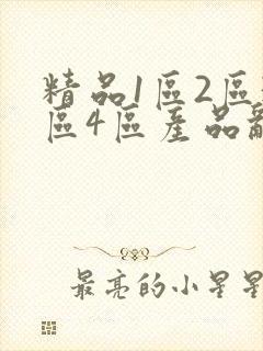 精品1区2区3区4区产品乱码