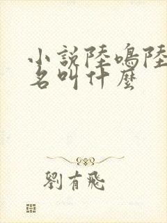 小说陆鸣陆瑶书名叫什么