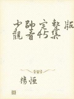 少帅完整版免费观看45集封面