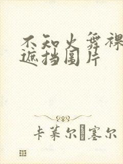 不知火舞裸体无遮挡图片封面