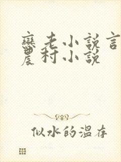 恋老小说言情网农村小说