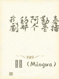 我的阿勒泰电视剧哪个台播放