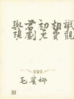 与君初相识 电视剧免费观看完整版