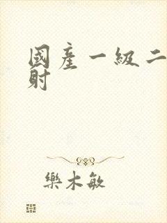 国产一级二片内射