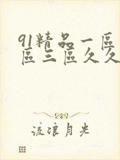 91精品一区二区三区久久久久久