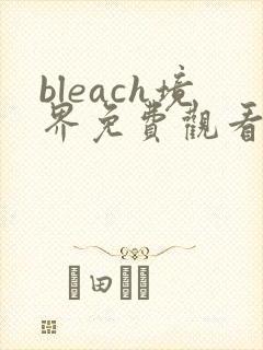 bleach境界免费观看全集