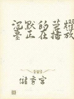 沉默的荣耀哪个台正在播放