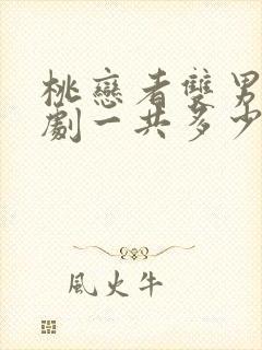 桃恋者双男主泰剧一共多少集