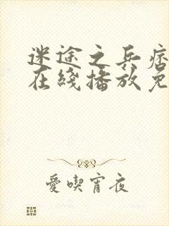 迷途之兵痞电影在线播放免费观看