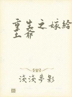 重生之嫁给残疾王爷