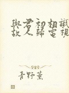 与君初相识恰似故人归电视剧在线观看