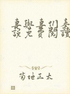 妻与妻们秦岚小说免费阅读最新章节