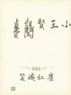 贞观贤王小说免费阅