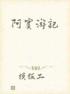 阿宾游记封面
