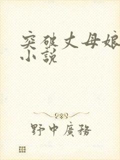 突破丈母娘赵悦小说