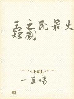 王之民最火十部短剧