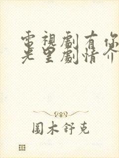 电视剧有你的时光里剧情介绍