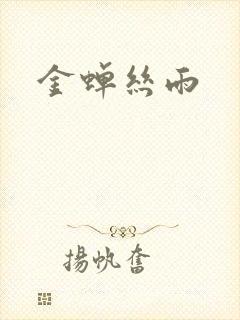 金蝉丝雨封面