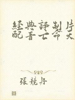 经典译制片国语配音亡命天涯