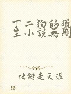 丁二狗的猎艳人生小说无删减小说封面