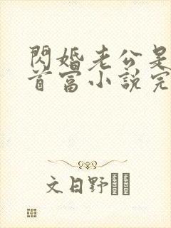 闪婚老公是千亿首富小说完整