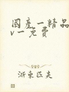 国产一精品一av一免费