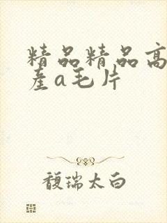 精品精品高清国产a毛片