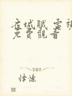 夜城赋 电视剧免费观看封面